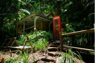 Celebrities on I'm A Celebrity are not actually in a jungle, as the real location of the camp has been revealed.