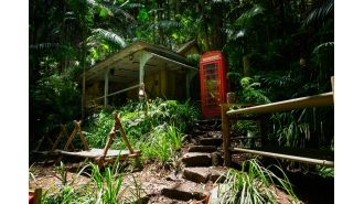 Celebrities on I'm A Celebrity are not actually in a jungle, as the real location of the camp has been revealed.
