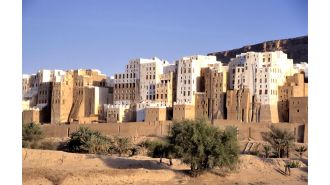 A city made of mud, known as the 'Manhattan of the Desert', was created.