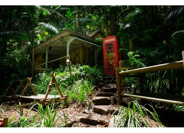 Celebrities on I'm A Celebrity are not actually in a jungle, as the real location of the camp has been revealed.