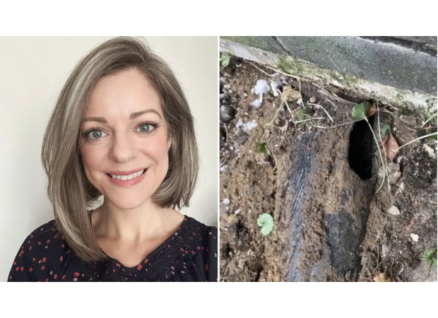 I unknowingly purchased a rat-infested house while pregnant.