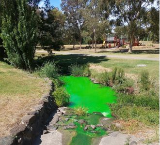 Authorities advise against coming into contact with the bright green creek.