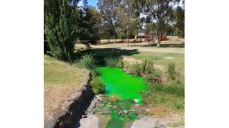 Authorities advise against coming into contact with the bright green creek.