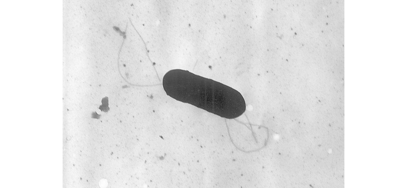 One infant died and nine people were hospitalized due to a Listeria outbreak in four states.