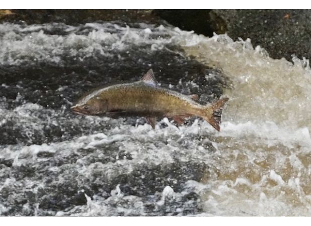 Storm breaks records, but a break in weather expected on Sunday.