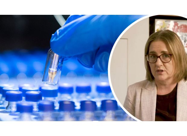 A large music festival in Victoria will allow for the testing of drugs.