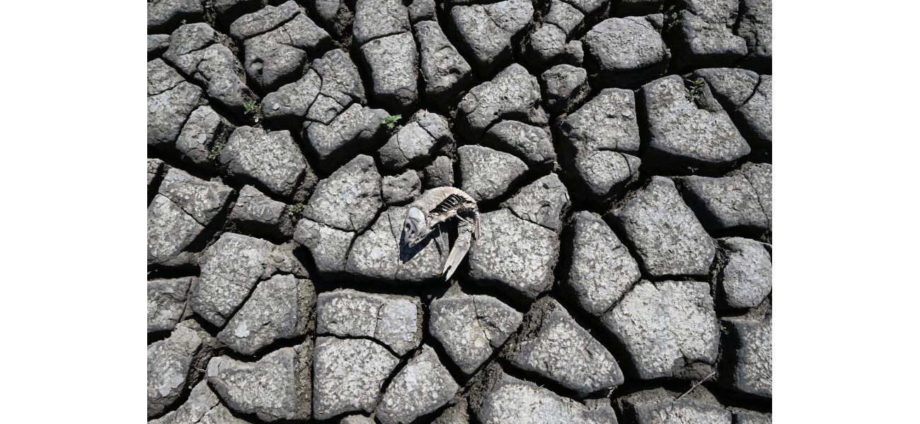 Colorado could experience drought every 6 years instead of every 1,000 due to climate change, per study.