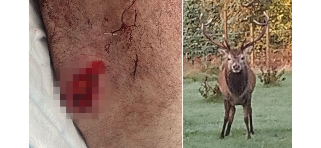 Man attacked by stag with antlers in seemingly endless encounter.