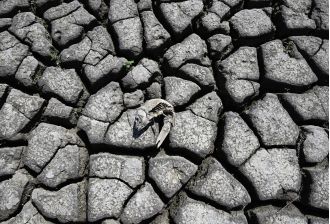 Colorado could experience drought every 6 years instead of every 1,000 due to climate change, per study.