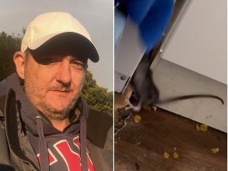 A man kills rats daily, even those living in his cereal cupboard.