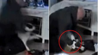 A man who was caught on camera beating a dog has been spared jail time.