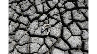 Colorado could experience drought every 6 years instead of every 1,000 due to climate change, per study.