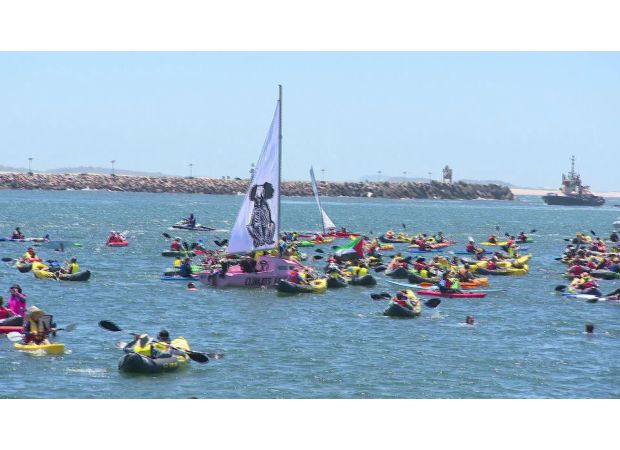 170 climate activists were taken into custody by police during a protest at Newcastle port.