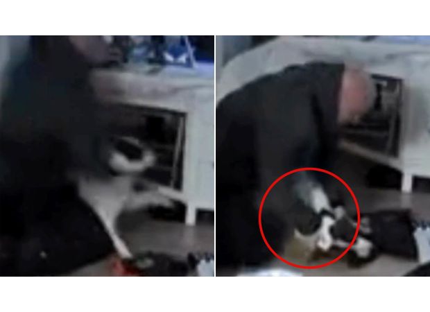 A man who was caught on camera beating a dog has been spared jail time.