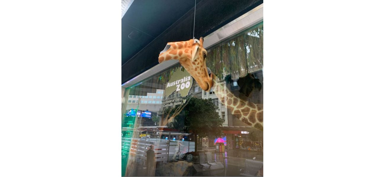 A giraffe in Myer's holiday window display was recently damaged, leading to disappointment.