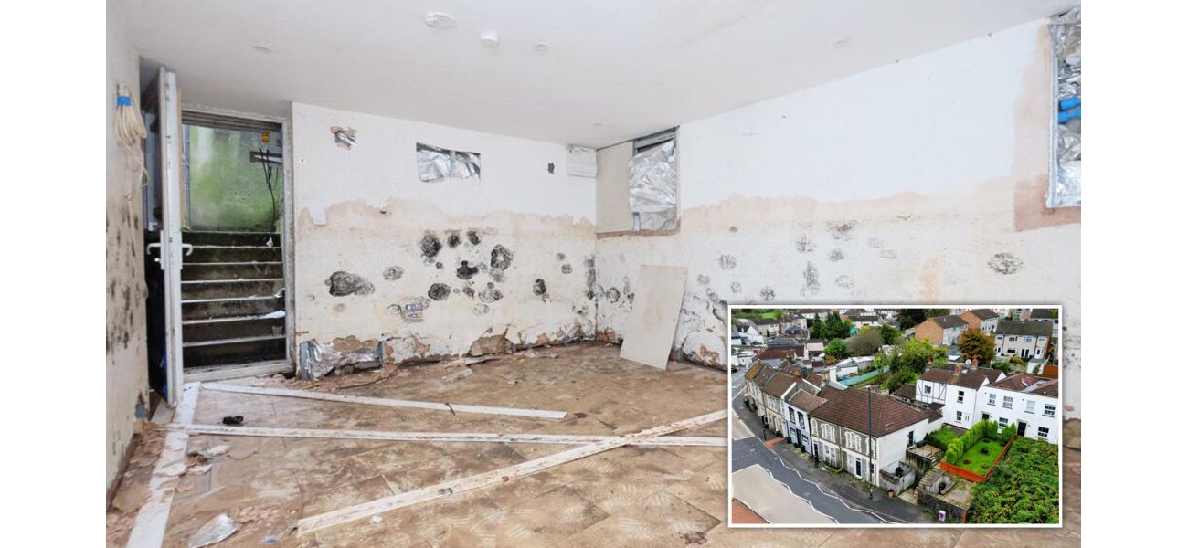 A moldy 'potential flat' is being sold for £25,000.