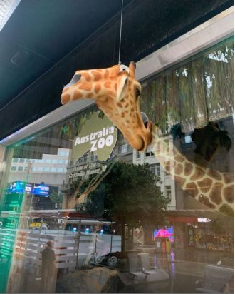 A giraffe in Myer's holiday window display was recently damaged, leading to disappointment.