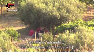 Italian family's son from The Barbarians found dead in burnt van.