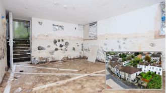 A moldy 'potential flat' is being sold for £25,000.