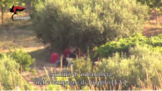 Italian family's son from The Barbarians found dead in burnt van.