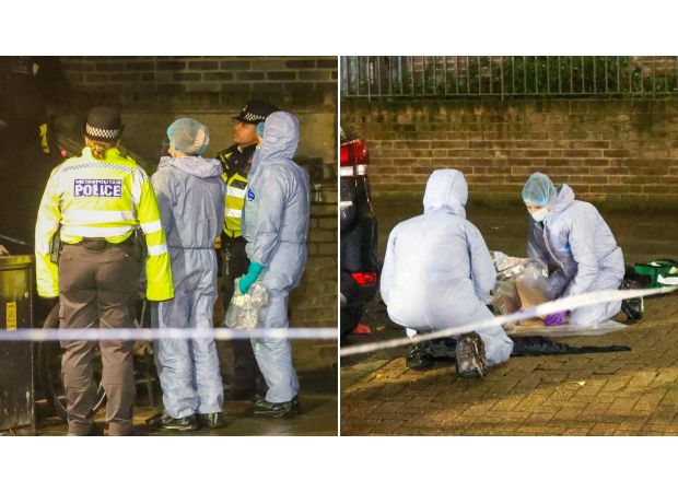 A child and adult were caught in the middle of a shooting on a London estate.