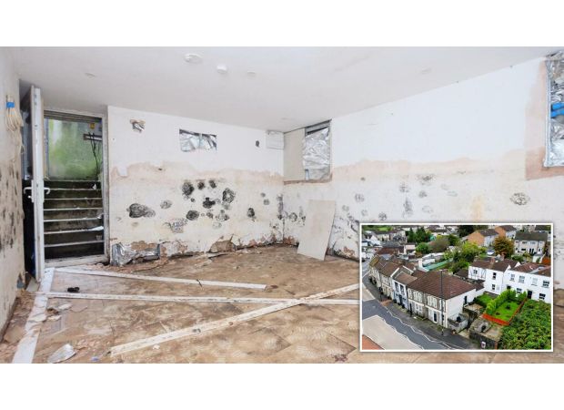 A moldy 'potential flat' is being sold for £25,000.