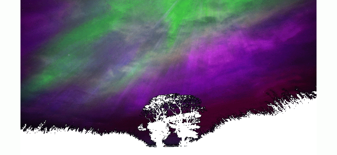 Some individuals claim they can hear the Northern Lights, describing it as similar to clicking rain.