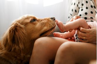 In 2025, the top baby names for dogs are expected to be Bear, Blue, and Banjo, reflecting a trend towards more 