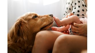 In 2025, the top baby names for dogs are expected to be Bear, Blue, and Banjo, reflecting a trend towards more 