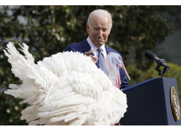 Biden pardons turkeys for last time in White House holiday season.
