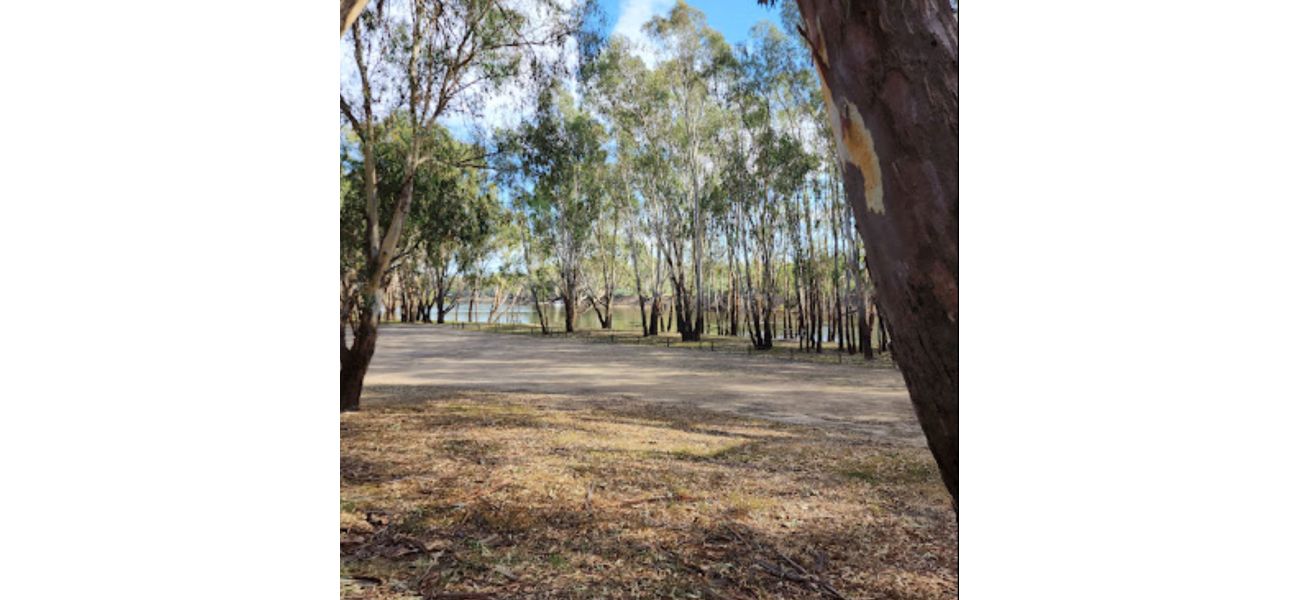 A man was fatally injured and a teenager was hurt when a tree branch fell on them close to the Victorian border.