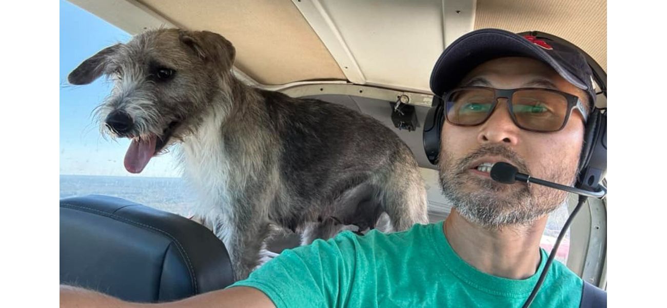 Pilot who saved three dogs dies in crash with one of the pups.