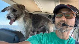 A heroic pilot dies in a crash with one of the dogs he rescued.
