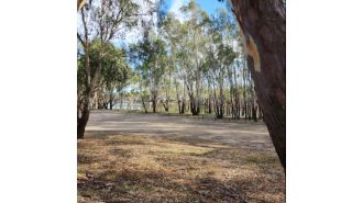 A man was fatally injured and a teenager was hurt when a tree branch fell on them close to the Victorian border.