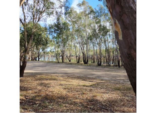 A man was fatally injured and a teenager was hurt when a tree branch fell on them close to the Victorian border.