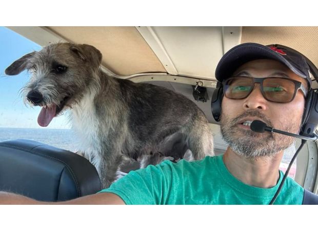 Pilot who saved three dogs dies in crash with one of the pups.