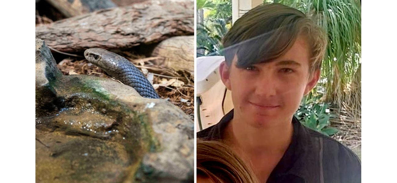 A 16-year-old's family is grieving after the snake bite death of their beloved, energetic teenager.