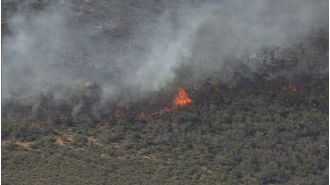 Firefighters fight fire in North Perth with full force.