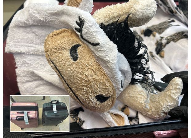 Someone attempted to smuggle 32kg of meth-laced clothes, including a cow onesie.