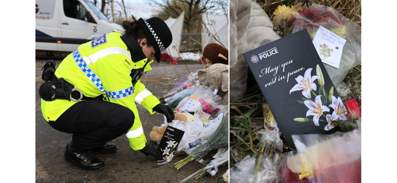 Significant enhancement to search efforts for mother of deceased newborn found in snowy field.