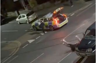 Police officer legally hit cow with car