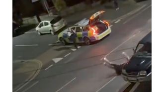 Police officer legally hit cow with car