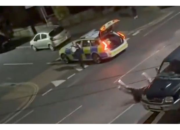 Police officer legally hit cow with car