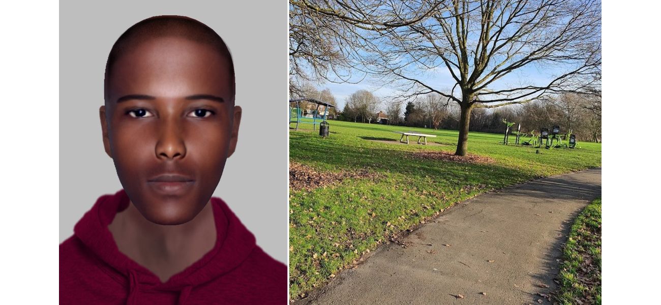Mother assaulted in front of kids at park.