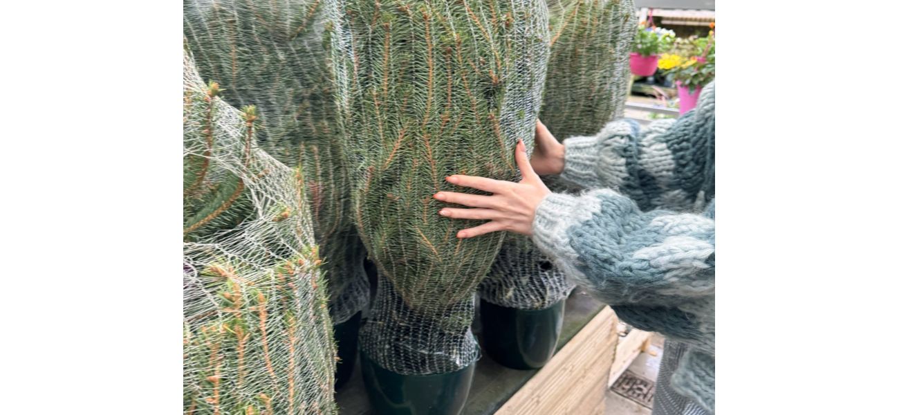 Garden centre's Christmas closure dates released.