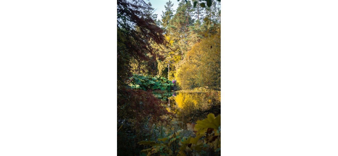 St Andrew Botanic Gardens shows that our biggest issues can be solved by changing our connection with plants.