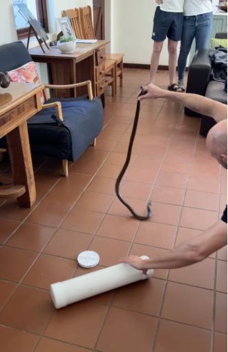 A drunken teenager woke up to find a four-foot cobra in his bed.