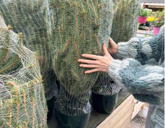 Garden centre's Christmas closure dates released.