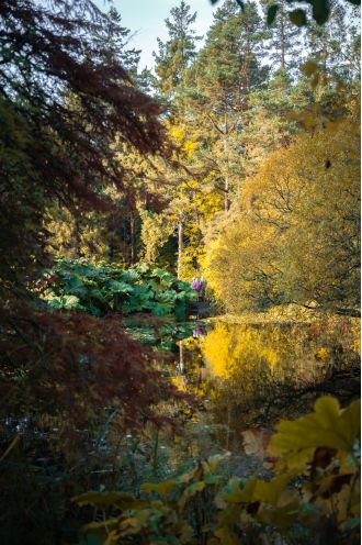St Andrew Botanic Gardens shows that our biggest issues can be solved by changing our connection with plants.