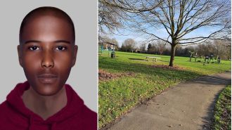 Mother assaulted in front of kids at park.